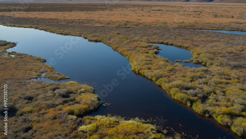 Marshy area with water pools and patches of grass viewed from above photo