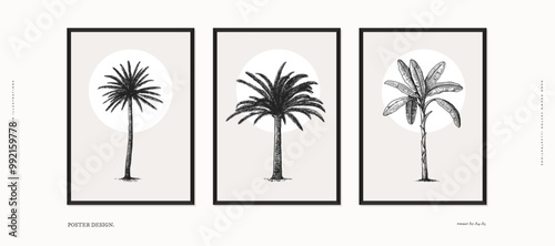 Collection of posters with graceful palm trees in engraving style. Hand drawn tropical trees. Interior painting design template. Vintage illustration on a light isolated background.