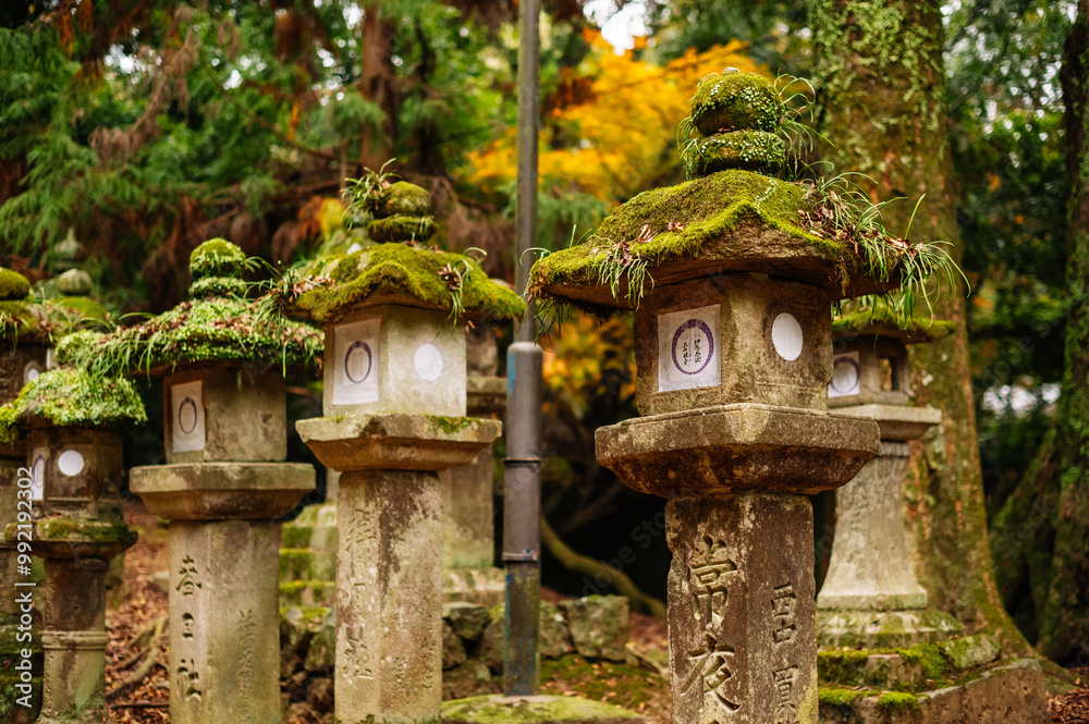 Moss-covered stone lanterns in a Japanese forest shrine Moss-covered stone lanterns in a Japanese forest shrine