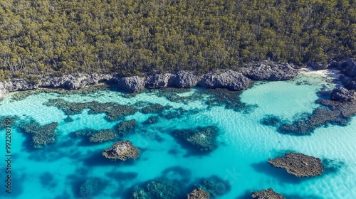 An aerial view of a pristine, turquoise cove with rocky outcroppings and lush green trees on the shore.