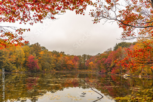 A pond in the Fall
