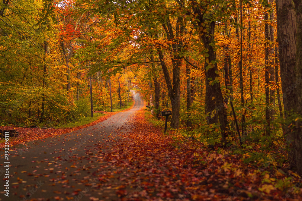 Naklejka premium A backroad in the Fall