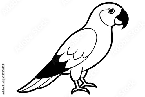 parrot bird silhouette, parrot bird icon illustration