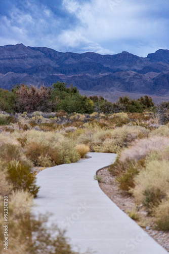 Photography paved trail in the mountains