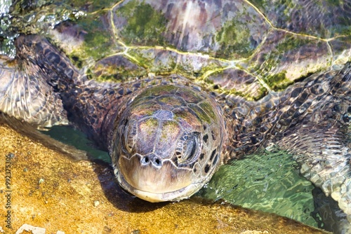 St. Thomas, United States Virgin Islands