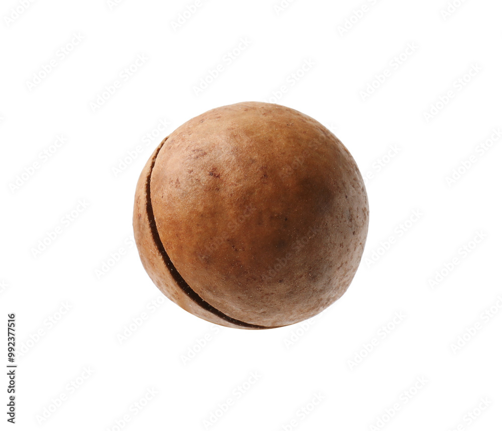 Fototapeta premium One whole macadamia nut isolated on white