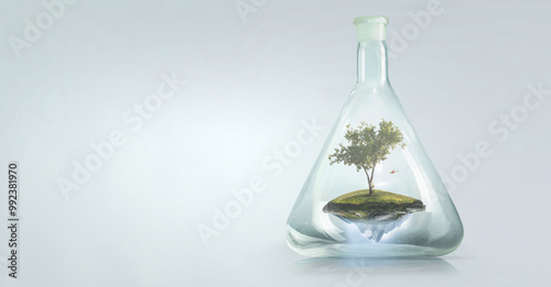 Tree growing inside clear glass bottle photo