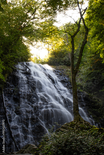 waterfall in the forest