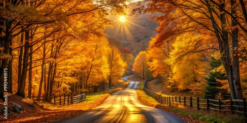 Golden light pours across a rustic road as it winds its way through a kaleidoscope of autumn hues.