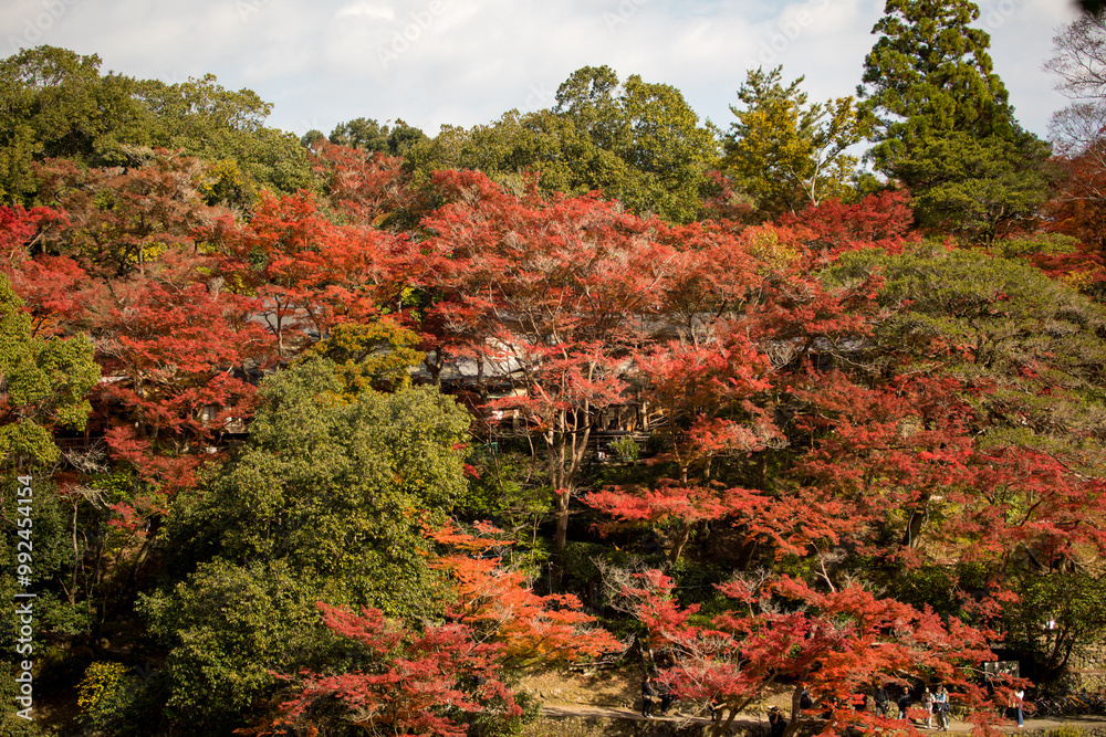 A famous river in kyoto in autumn, japan A famous river in kyoto in autumn, japan