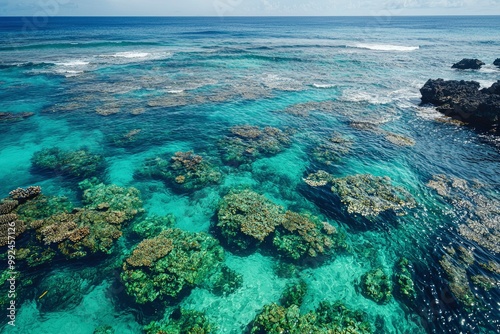 Underwater View of a Coral Reef with Clear Water and Rocks