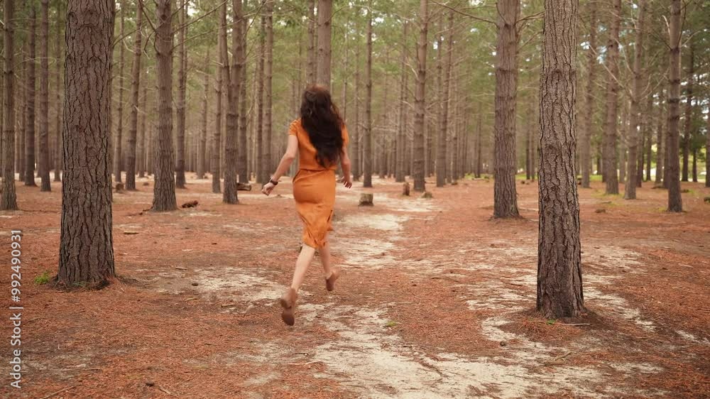 Woman in flowing brown dress, her long brunette hair trailing behind her as she runs joyfully through dry magical woodland in Canada Woman in flowing brown dress, her long brunette hair trailing behind her as she runs joyfully through dry magical woodland in Canada