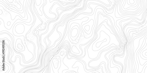 White wave paper curved reliefs abstract background. Topography map background. 