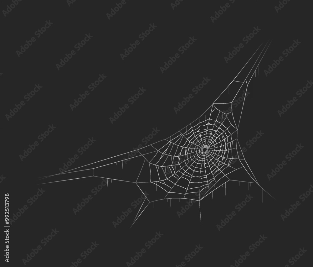 © ApoevArt - Spiderweb geometric pattern creepy decor realistic vector icon. Halloween cobweb decoration hanging in corner 3d object illustration on black © ApoevArt - Spiderweb geometric pattern creepy decor realistic vector icon. Halloween cobweb decoration hanging in corner 3d object illustration on black
