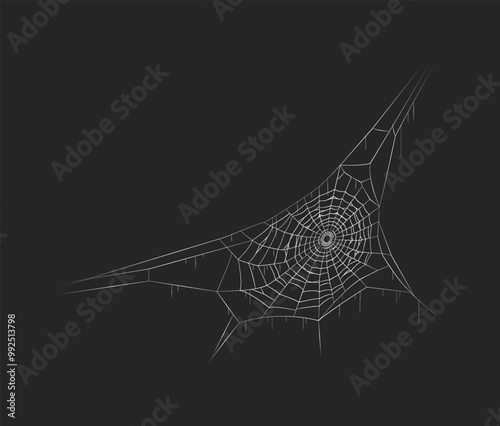 Spiderweb geometric pattern creepy decor realistic vector icon. Halloween cobweb decoration hanging in corner 3d object illustration on black