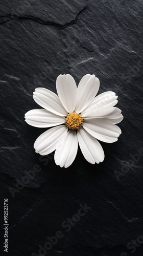 Simple Design White Flower: A Minimalistic Approach to Floral Elegance