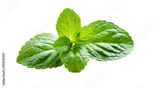 Fresh mint leaves isolated on transparent background, Generative ai