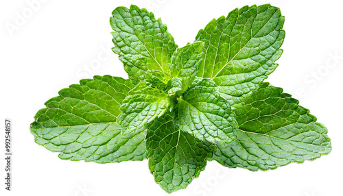 Fresh mint leaves isolated on transparent background, Generative ai
