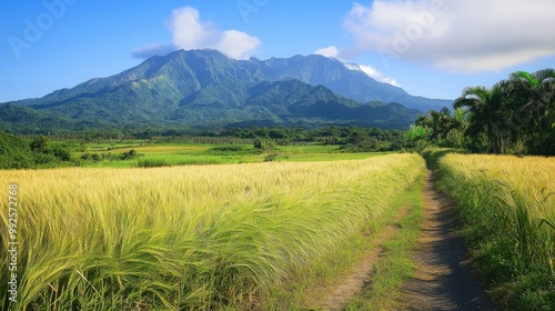 Lush barley fields surround a farm road on Gapado Island, with the towering peaks of Mt. Sanbang and Mt. Halla providing a dramatic backdrop. photo