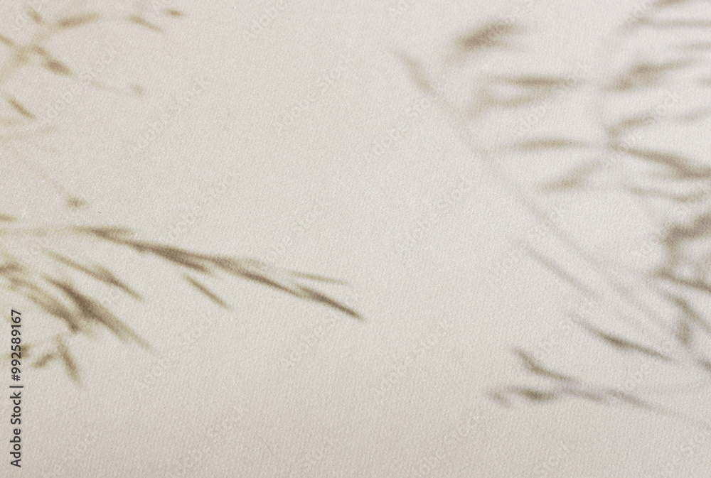 Dry reeds plant shadow on beige background template with copy space. Botanical poster. Floral card.Neutral colors elegant minimalist aesthetic abstract wall art. Dry reeds plant shadow on beige background template with copy space. Botanical poster. Floral card.Neutral colors elegant minimalist aesthetic abstract wall art.
