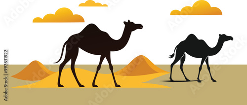 camels in the desert