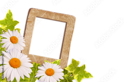 Vintage floral cardboard photo frame and daisy in retro style for sample snapshot. Template photo page. Corner flowers ornament.