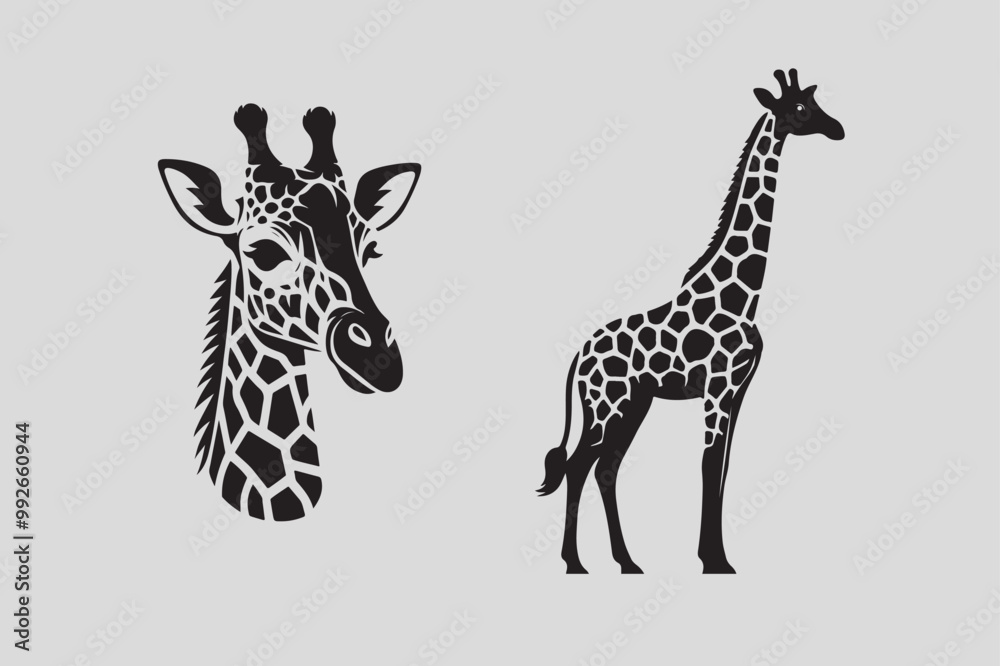 Фотография giraffe illustration and  Giraffe head vector