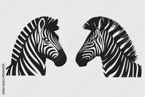 Zebra vector illustration and Zebra head vector silhouette