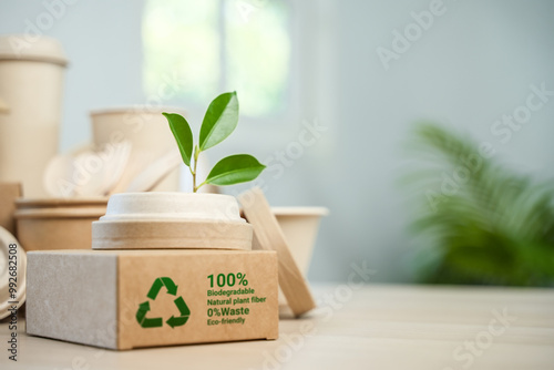 Canvastavla Eco-Environmentally friendly paper containers and packaging made from biodegradable materials, zero waste and recycling concept, green or disposable packaging