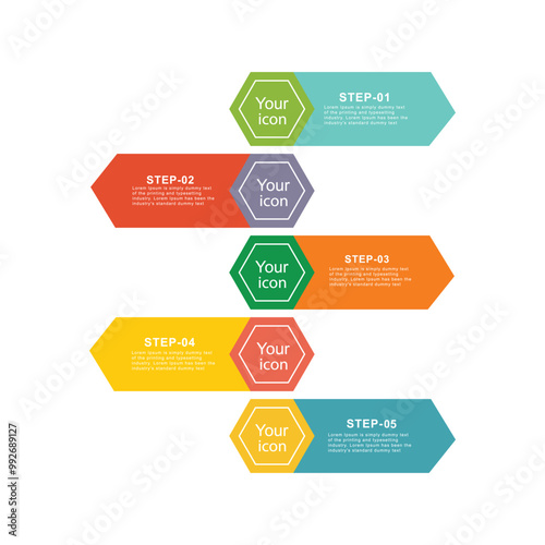 infographic 5 option vector design