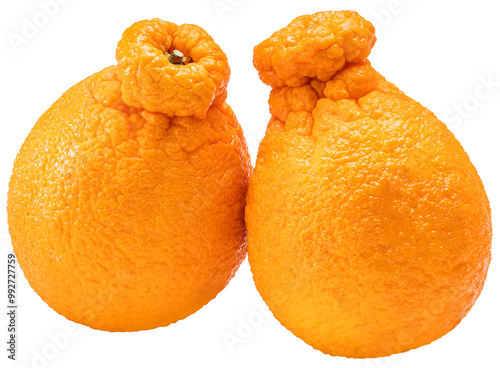 Fresh Orange fruit on whithe background, Dekopon orange or sumo mandarin tangerine isolate on white PNG File. photo