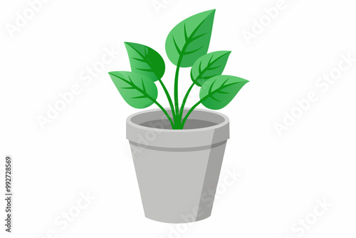 Plant in Pot and Tree Multi Purpose Illustration