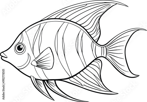 Angelfish line art vector illustration on white background.