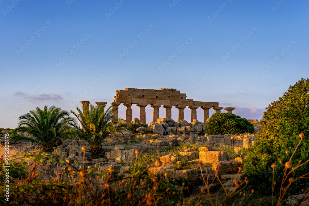Obraz premium Selinunte Ruins Surrounded by Nature