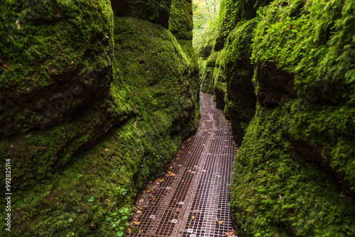 Fotografía Dragon Gorge, Hiking area in Eisenach, Thuringia, Germany