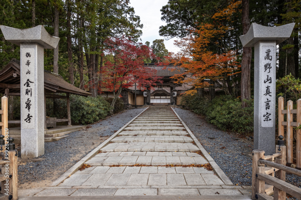 Obraz premium details of Koyasan streets in Autumn