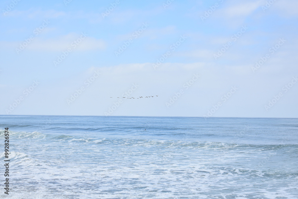 Pastel Ocean and Sky with Pelicans Flying over Surfer in Waves Pastel Ocean and Sky with Pelicans Flying over Surfer in Waves
