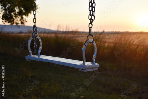 Horseshoe Swing Looking Over a Field of Wheat on a Farm in Idaho photo