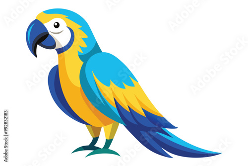 blue and yellow macaw Ara bird illustration on white background.