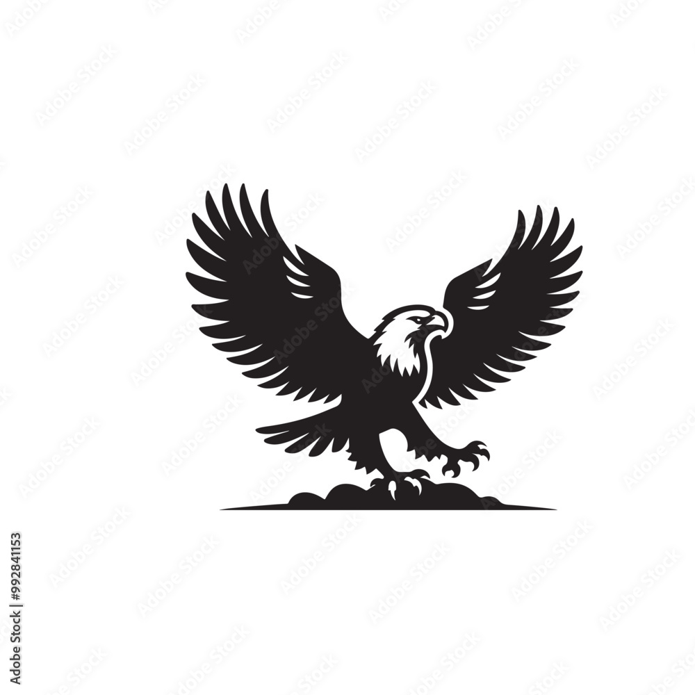 Silhouette of an eagle, silhouette of a flying bird., vector eagles collection Silhouette of an eagle, silhouette of a flying bird., vector eagles collection