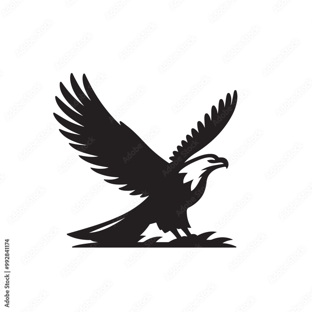 Silhouette of an eagle, silhouette of a flying bird., vector eagles collection Silhouette of an eagle, silhouette of a flying bird., vector eagles collection