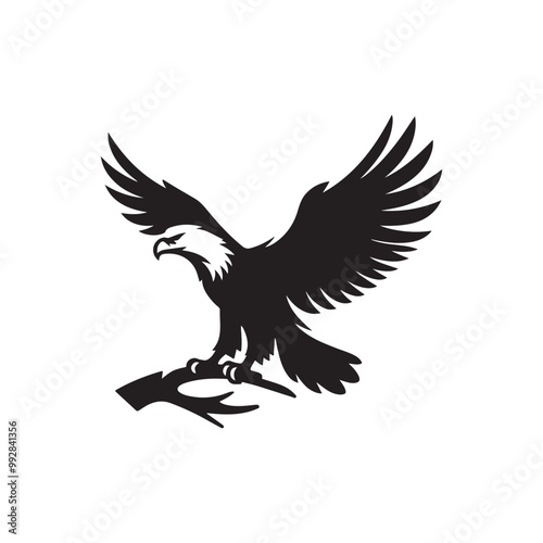 Silhouette of an eagle, silhouette of a flying bird., vector eagles collection