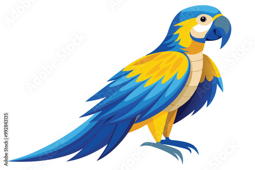 blue and yellow macaw Ara bird illustration on white background.