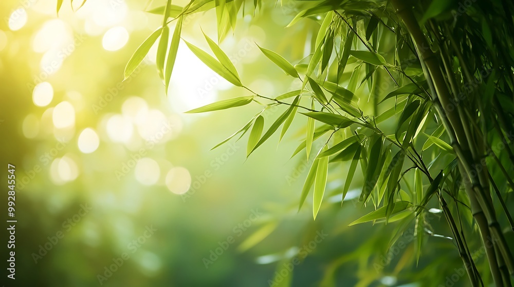 Rough background from bamboo, beautiful natural charm Rough background from bamboo, beautiful natural charm