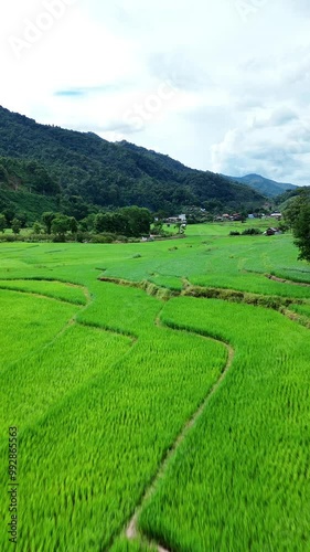 Aerial view of Green Terraces rice field, a beautiful natural beauty on mountain in Nan, Ban wen Rice Terraces, Bokluea Nan Province, Thailand. photo