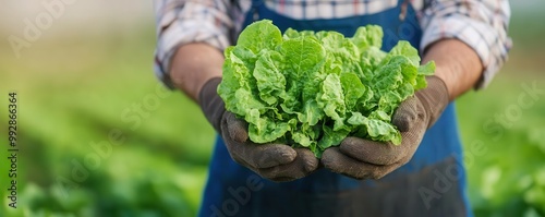 A farmer using organic farming techniques to cultivate crops, showing sustainable agriculture version2 photo