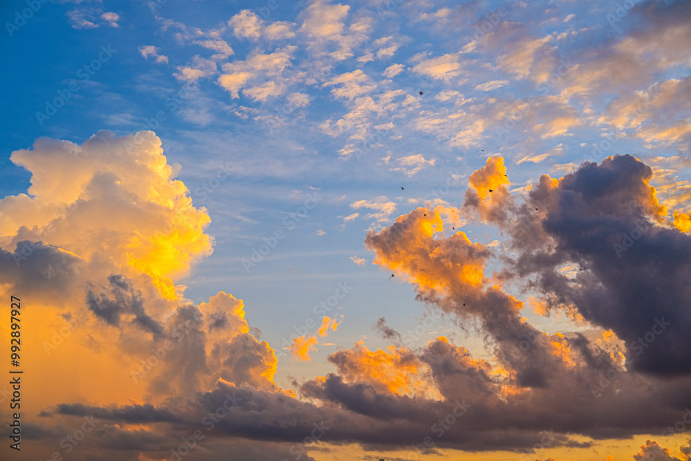 Golden clouds illuminated by the setting sun against a deep blue sky. Majestic cumulus formations create a dramatic contrast, enhancing the vibrant and dynamic atmosphere of the evening sky.