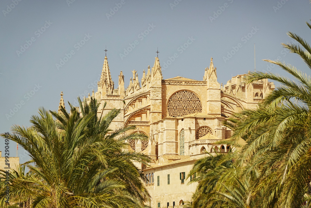 Cathedral Basílica de Santa María de Mallorca, Palma de Mallorca, Spain Cathedral Basílica de Santa María de Mallorca, Palma de Mallorca, Spain