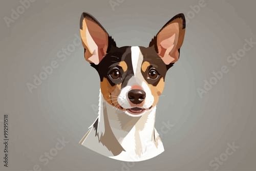 Rat Terrier dog head portrait, looking happy, frontal view