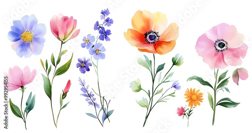 Fototapeta Naklejka Na Ścianę i Meble -  Set of watercolor flowers paintings, floral vintage bouquet illustrations with wildflowers and leaves. Designer poster, greeting card, birthday card. Isolated on white.